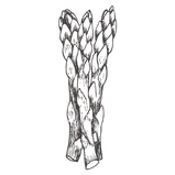 Asparagus